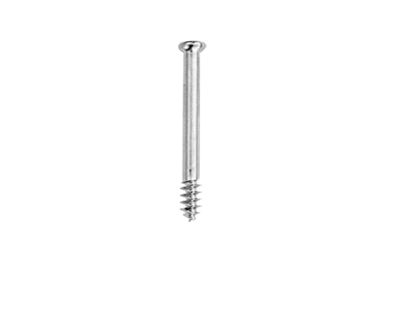 cancellous-screw-16th-6-5mm