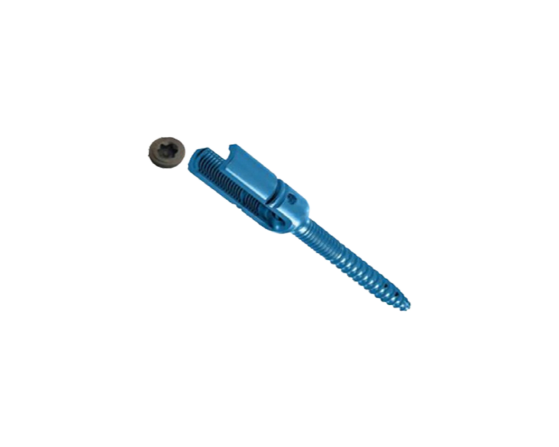 reduction-monoaxial-screw-dual-thread