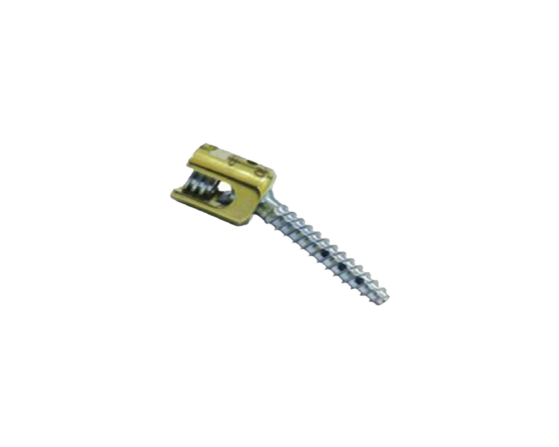 fenestrated-polyaxial-screw